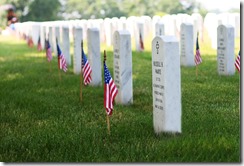 Military graves with flags